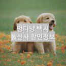 멍타냥택시 이미지