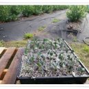 해룡농장 이미지