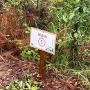 청천수목원야영장 이미지