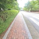 동아솔레시티공인중개사사무소 네이버블로그