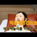 핵심기본간호술(비강캐뉼라를 이용한 산소요법)#175 이미지