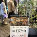 약수터 - 중구 | 제주 서귀포 혼술 가능 반려동물 가능 수제맥주맛집 제주약수터 솔직후기[내돈내산]