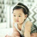 노란코끼리 미니