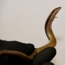 가고파안경 | 뜨억 벌써 4월 !!