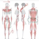 체력단련 헬스 | 성신여대 헬스 / 10회 수업 후 스쿼트, 런지 성공한 후기! *혼자 운동이 어려우신 분 필독*