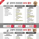 호수동물의료센터 네이버블로그
