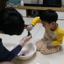 용우네 이미지
