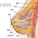 발효명가서초한의원 이미지