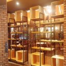 개구리 노래연습장 이미지