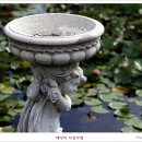 사랑의연못 이미지