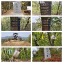 앵자지맥(漢南 鶯子支脈) 1구간 칠봉산(七峰山 446.8)