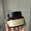 태양의바디스토리 | 푸타완 바디스크럽 솔직 사용후기 🛁✨ (내돈내산)