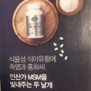 이황MSM 네이버블로그