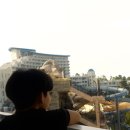 위너게임장 | 삼척 여행 1박 2일-1탄 쏠비치 삼척 4인 가족 숙소 동해 밤바다와 동해일출 맛집