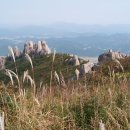 은경목장 Daum카페