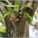 미팅프라자 이미지