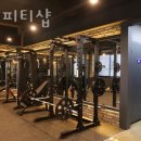 팀박피티샵 이미지