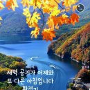 라인댄스(야) 이미지
