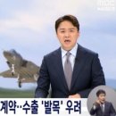 보라매 이미지
