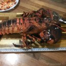 백두수산식당