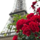 구명한의원 이미지