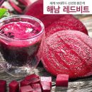해남물산 이미지