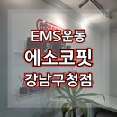 리뷰) 강남 EMS 트레이닝 :: 체지방 감소 :: 짧지만 강력한, &#39;에소코핏 강남구청점&#39; 상담 및 운동 후기