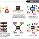 혜성관광