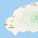 떠나요🍊 제주도 푸른 밤 하늘 아래로✈️ #1