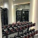 바디온 스튜디오 이미지