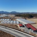 남원종자 이미지