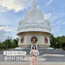 152약국 | 나트랑 롱선사 입장료 복장 오토바이 가격 관람시간 총정리