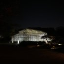 애련정 | 동궐동락 창덕궁 창경궁 야간 개장 프로그램 관람 동선 후기