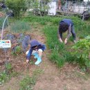 지후네 농장 이미지