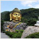 와우정사 이미지