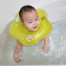 곰소넝쿨젓갈