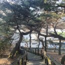 화요 피아노 클래스(수시접수) | 국립발레단 아카데미 성인취미반 수강 후기
