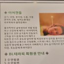 벨라테라피