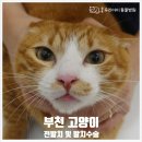 중동 우리아이 동물병원 이미지