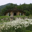 명주사 Daum카페