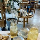 티의수채화TEA.CHAE