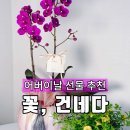 꽃;건네다 이미지