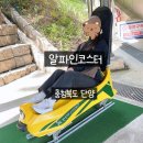 알파인 | 만천하 스카이워크 알파인코스터 탑승 후기 (왕추천)