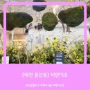 (주)대원빌딩 | [대전 미용실추천] 비안이즈 후기