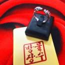 용이랑 백호랑 이미지