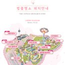 주주팜 | 아이랑 가볼만한 곳 벚꽃축제 주주팜 먹이주기체험 이월드 방문 후기 (feat.개화 정도)