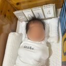 고양 화정 더플라워산후조리원 일산점 13박 14일 찐 만족 후기