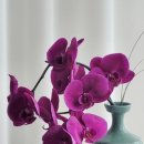 청계5가 지하상가 이미지