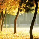 행복하면 이미지