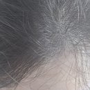 홍헤어샵 - 창원시 의창구 | 홍헤어샵